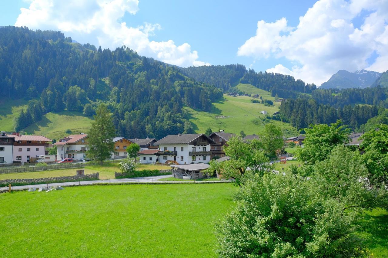 Appartamento Alpin Penthouse Hollersbach Hollersbach im Pinzgau Esterno foto